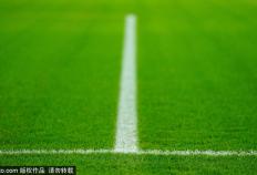 终于！萨利巴伤愈回归阿森纳合练，有望出战本周欧冠对阵布鲁日