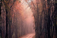 今(jīn)晨欧冠(guān)联赛上演进球盛宴(yàn)