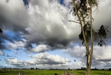 鲁尼揭晓欧冠最佳(jiā)后卫榜：切尔西双星闪耀历史舞台(tái)